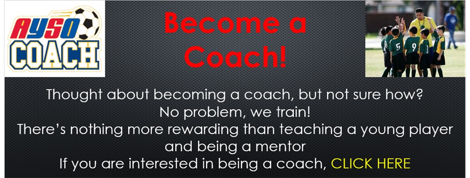 Become a Coach